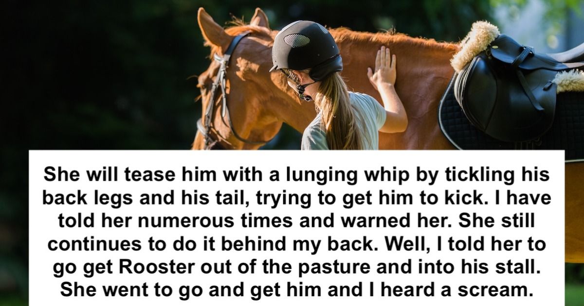 Aunt tells niece it's her 'fault' she got kicked by horse, SIL calls
