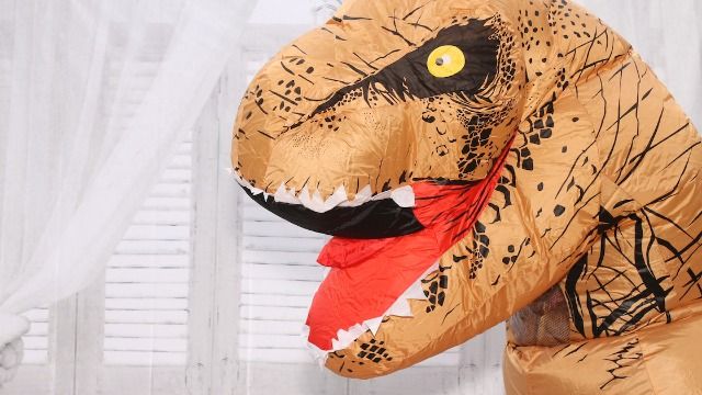 Bride wants sister to officiate themed wedding in 'offensive' inflatable T-rex costume.