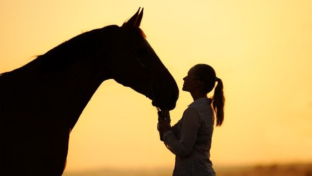 Daughter confronts 'horse-obsessed mother' says, 'mom, you've taken this too far.'