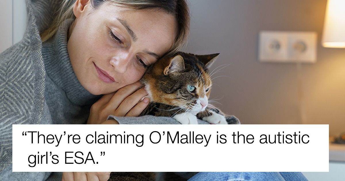 Family with autistic daughter wants to keep found cat; owner calls the