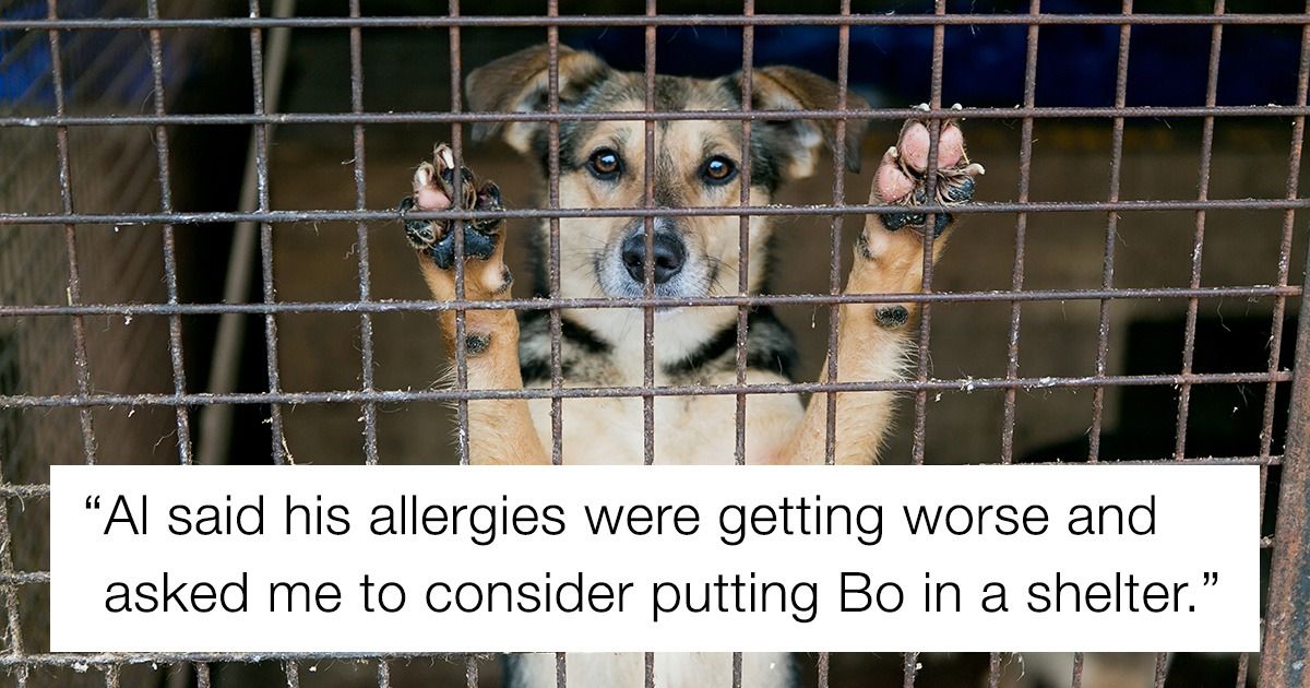 Guy's GF wants him to get rid of his dog; says 'he's prioritizing the