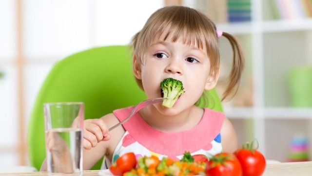 Man tells sister he won't feed her kids unless the vegan one changes her diet. AITA?