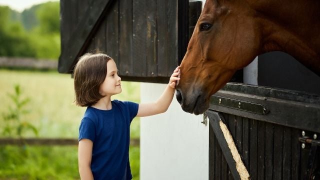 Mom with horse 'phobia' scolds friend for exposing child to horses.