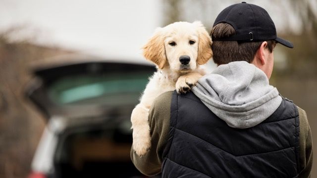 'My girlfriend cheated on me so I 'stole' her dog and now her friends say I'm a jerk'