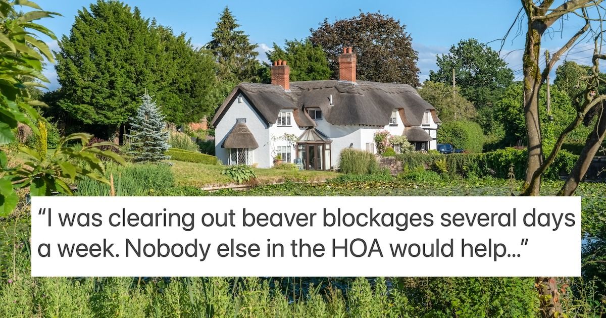 Property owner plans to fill in a manmade 'pond' against neighbors