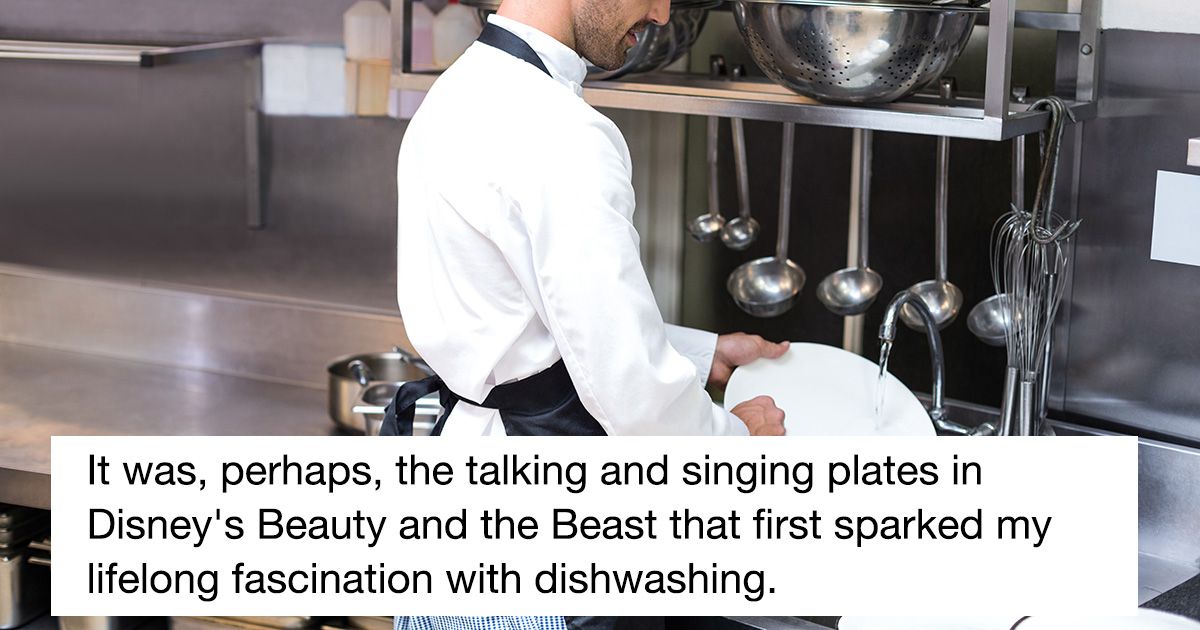 Reddit user shares hilarious cover letter for dishwashing job