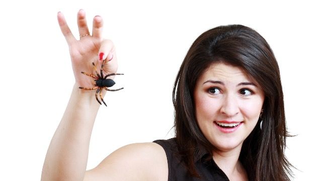 Pregnant woman calls her husband hateful when he won't let her get a pet spider.