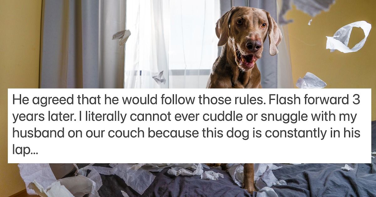 Wife 'repulsed' by husband letting dog sleep in bed, 'I'm drawing the