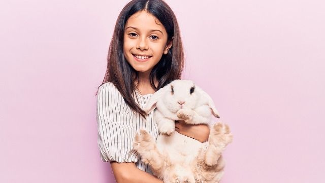 Woman wants to bring 'emotional support rabbit' to funeral; she's begged not to.