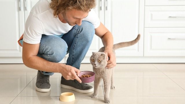 Woman throws out husband's BFF's food after he feeds cat garlic, he calls her names.
