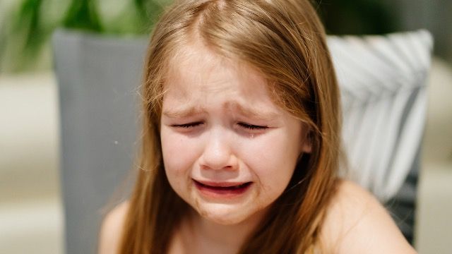 Woman hosts Lord of the Rings themed dinner, 'mystery' stew makes little girl cry.