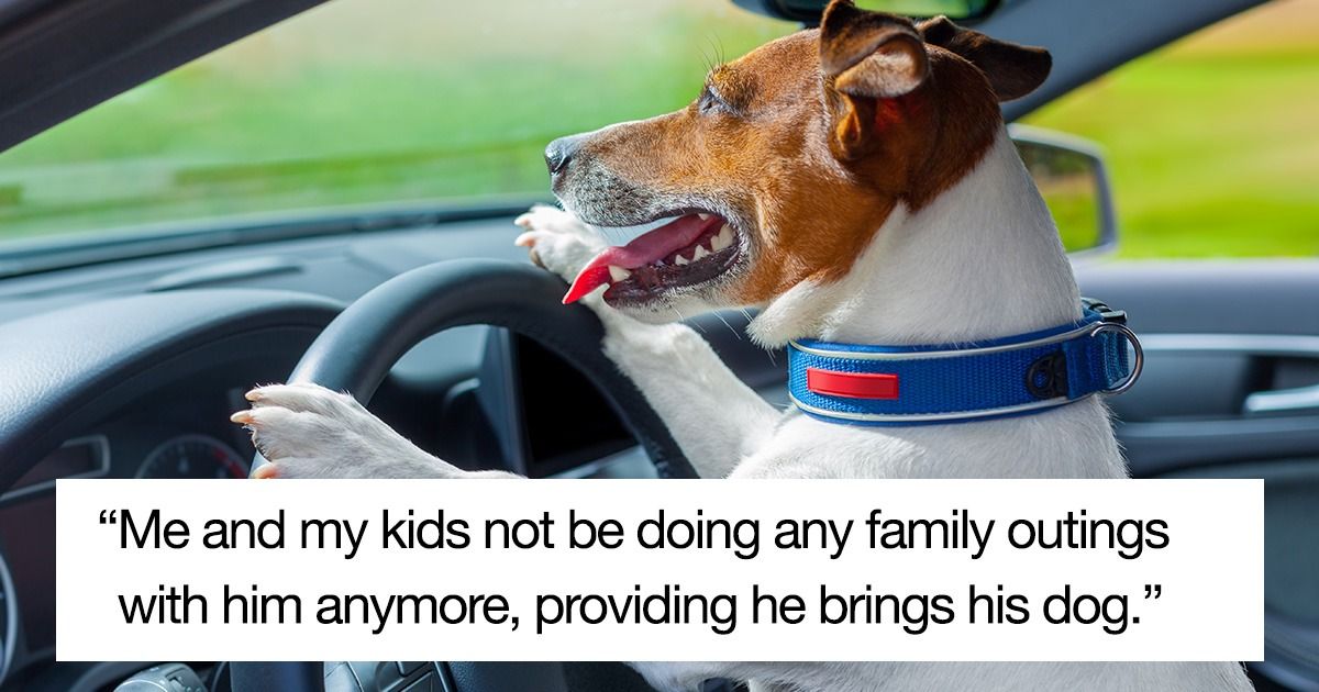 Woman tells fiancé to stop driving with dog in lap; he says she's