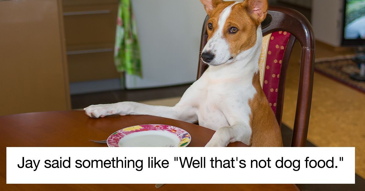 Woman Asks If She Was Wrong To Feed Her Dog Table Scraps From Dinner   Wrong To Feed Dog Leftovers Xvv 