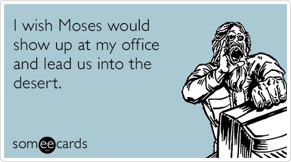 I wish Moses would show up at my office and lead us into the desert.
