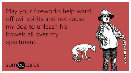 May your fireworks help ward off evil spirits and not cause my dog to unleash his bowels all over my apartment.