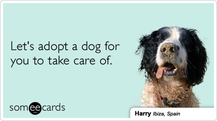 Let's adopt a dog for you to take care of.