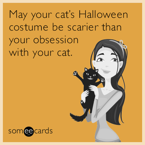 May your cat’s Halloween costume be scarier than your obsession with your cat.