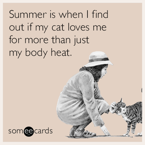 Summer is when I find out if my cat loves me for more than just my body heat.