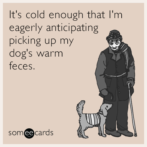 It's cold enough that I'm eagerly anticipating picking up my dog's warm feces.