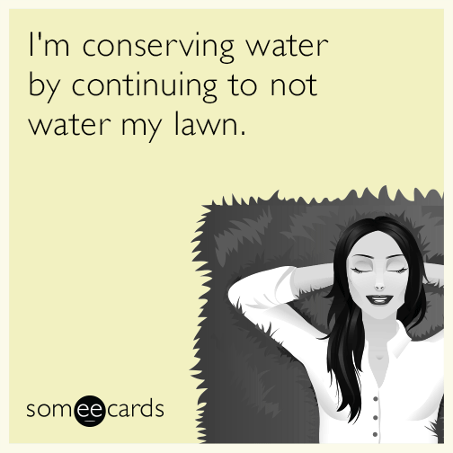 I'm conserving water by continuing to not water my lawn.