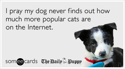 I pray my dog never finds out how much more popular cats are on the Internet.