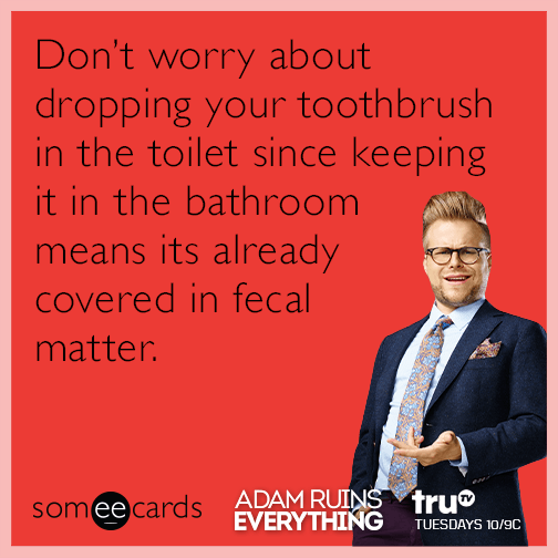 Don't worry about dropping your toothbrush in the toilet since keeping it in the bathroom means its already covered in fecal matter.