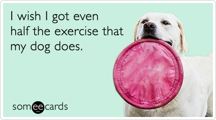 I wish I got even half the exercise that my dog does.