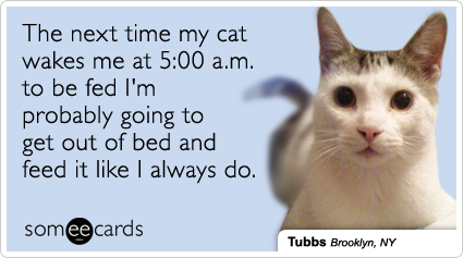 The next time my cat wakes me at 5:00 a.m. to be fed I'm probably going to get out of bed and feed it like I always do.