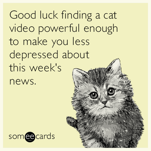 Good luck finding a cat video powerful enough to make you less depressed about this week's news.