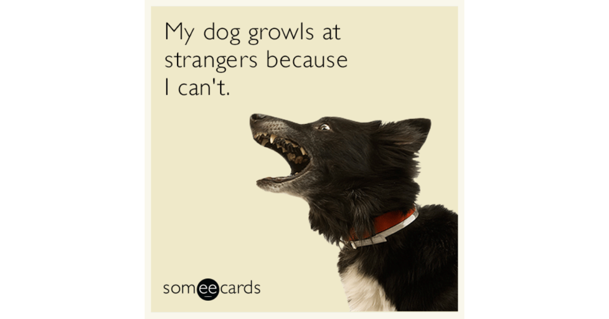 my puppy growls at strangers