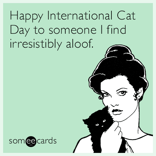 Happy International Cat Day to someone I find irresistibly aloof.
