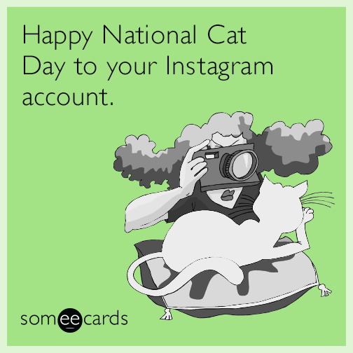 Happy National Cat Day to your Instagram account.