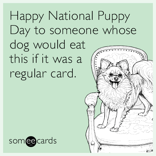 Happy National Puppy Day to someone whose dog would eat this if it was a regular card.