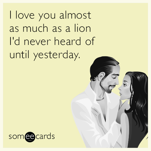 I love you almost as much as a lion I'd never heard of until yesterday.