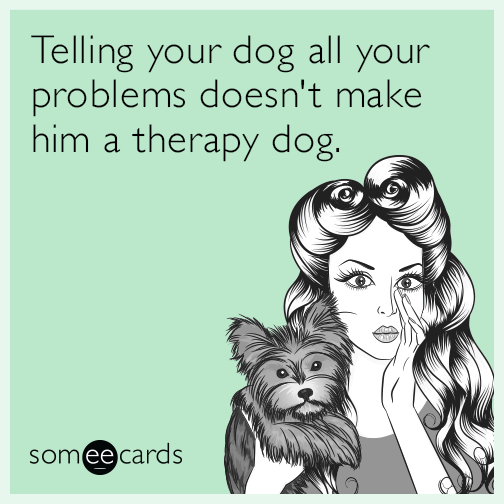 I'm sorry telling your dog all your problems doesn't make him a therapy dog.