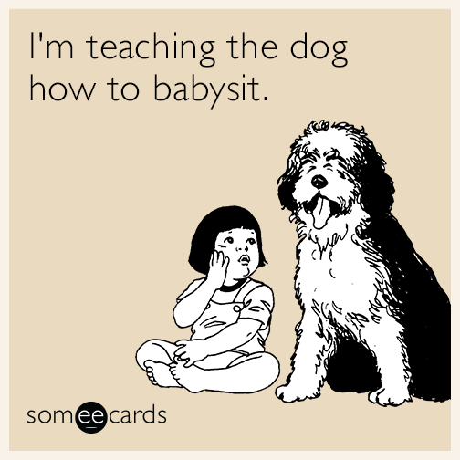 I'm teaching the dog how to babysit
