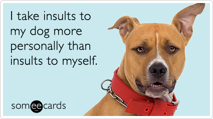 I take insults to my dog more personally than insults to myself.