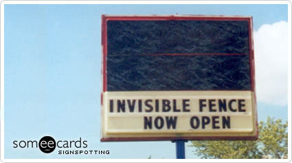Invisible Fence Now Open