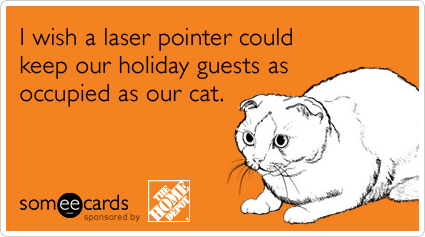 I wish a laser pointer could keep our holiday guests as occupied as our cat.