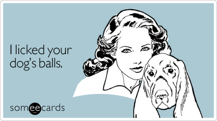 I licked your dog's balls