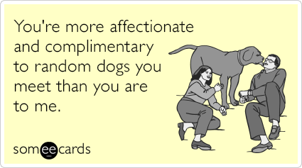 You're more affectionate and complimentary to random dogs you meet than you are to me.