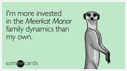 I'm more invested in the Meerkat Manor family dynamics than my own