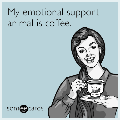 My emotional support animal is coffee.