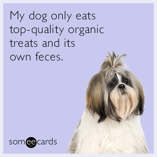 My dog only eats top-quality organic treats and its own feces.