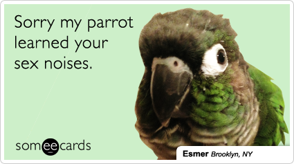Sorry my parrot learned your sex noises.