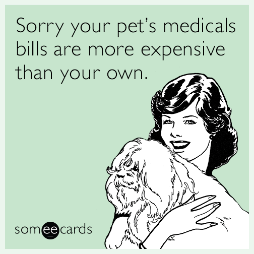 Sorry your pet’s medicals bills are more expensive than your own.