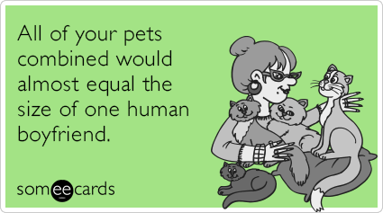 All of your pets combined would almost equal the size of one human boyfriend.