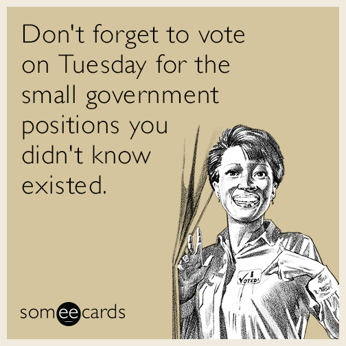 Don't forget to vote on Tuesday for the small government positions you didn't know existed.