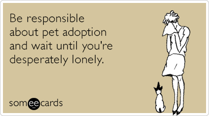 Be responsible about pet adoption and wait until you're desperately lonely.