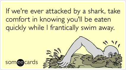 If we're ever attacked by a shark, take comfort in knowing you'll be eaten quickly while I frantically swim away.